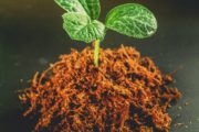 proven 2019 cloud solutions can help you grow your startup