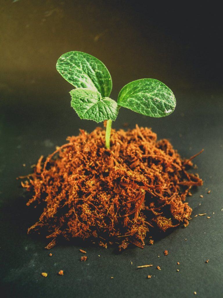 proven 2019 cloud solutions can help you grow your startup